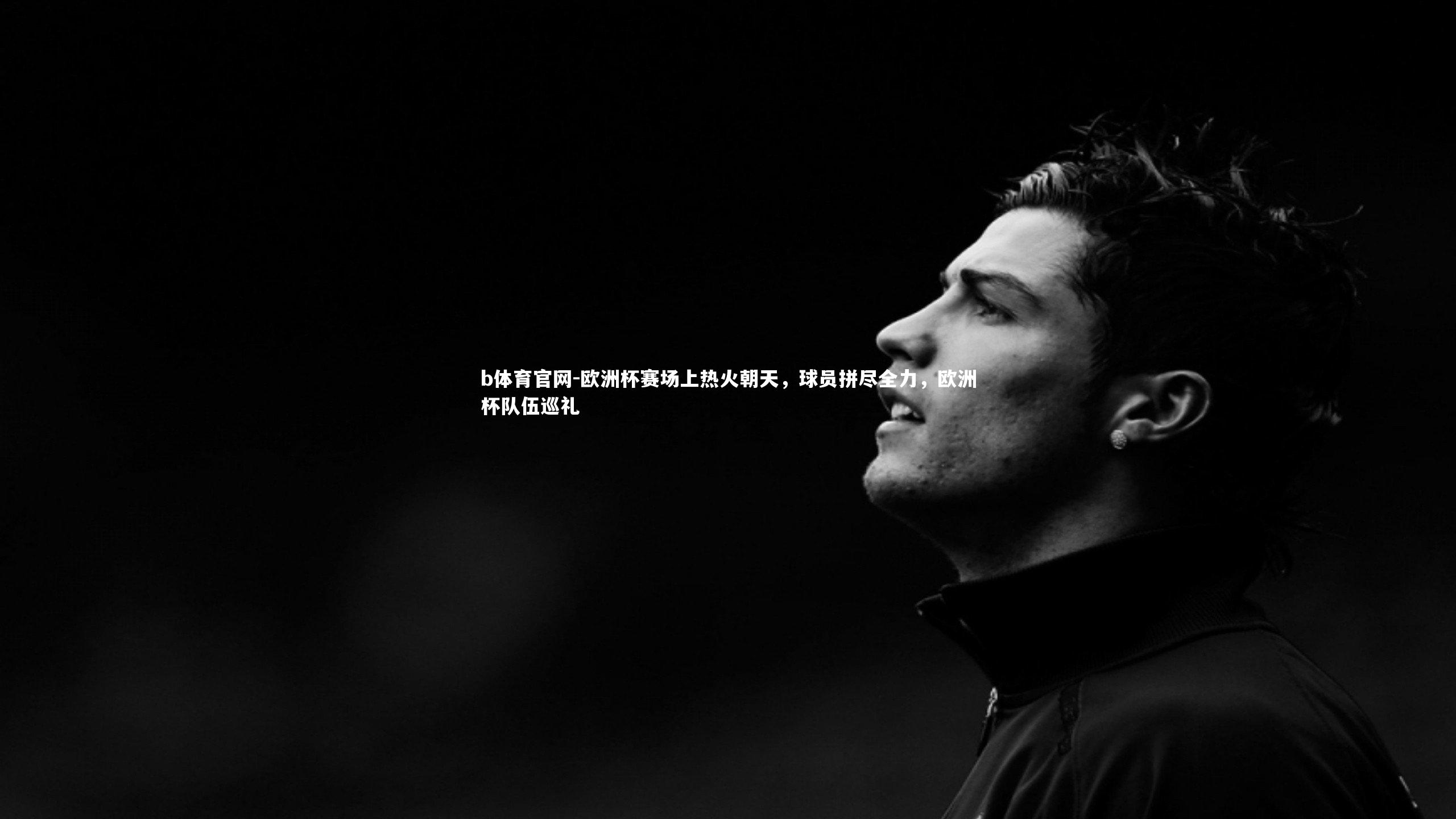 欧洲杯赛场上热火朝天，球员拼尽全力，欧洲杯队伍巡礼