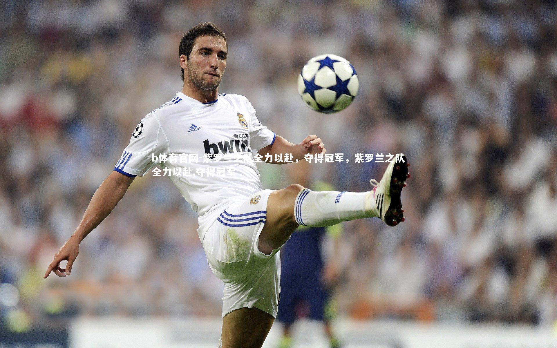 紫罗兰之队全力以赴，夺得冠军，紫罗兰之队全力以赴,夺得冠军